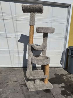 Cat tree 5ft $40