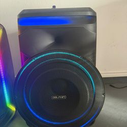 18’’ Dolphin Speaker 