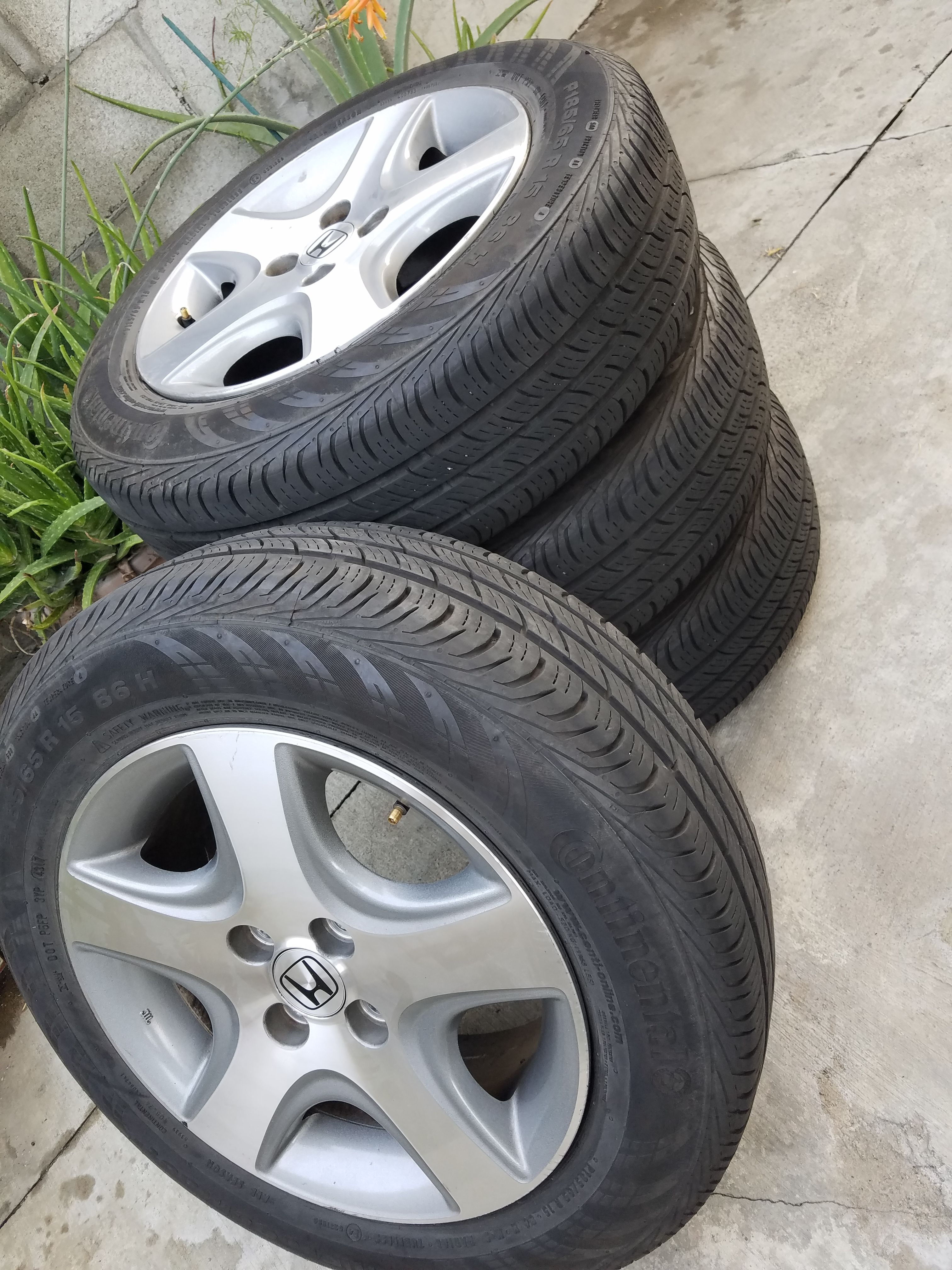 2005 Honda On Rims