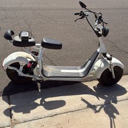 Phat Bear Scooter