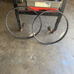 Two Bicycle Rims.