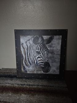 Zebra Picture