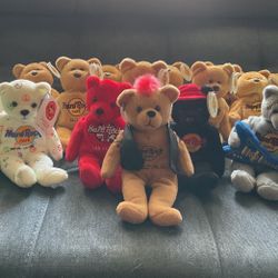 19 Hard Rock Cafe Collectible Bears Brand New With Tags 