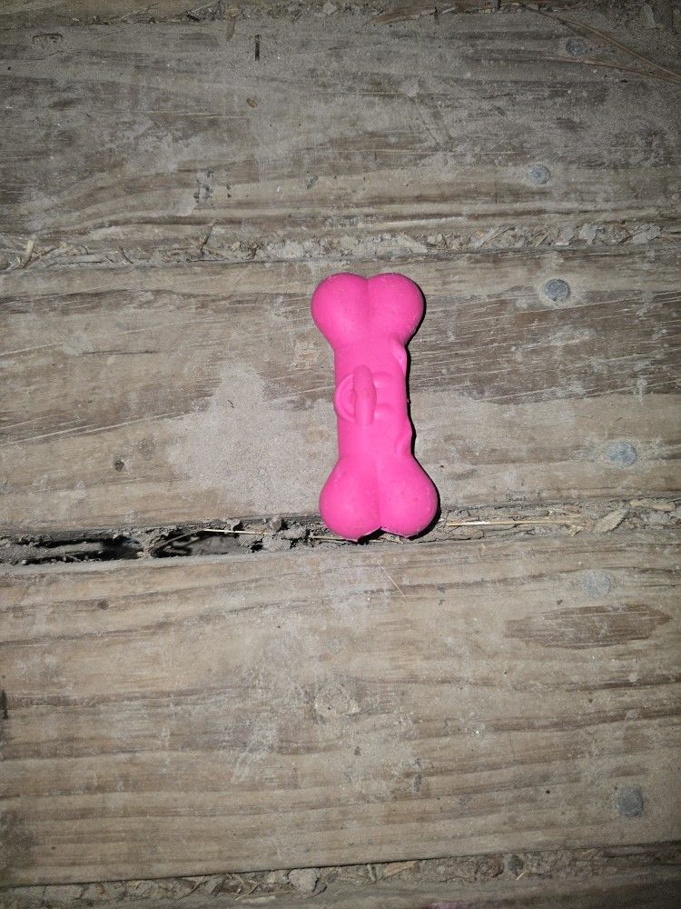 Dog Toy