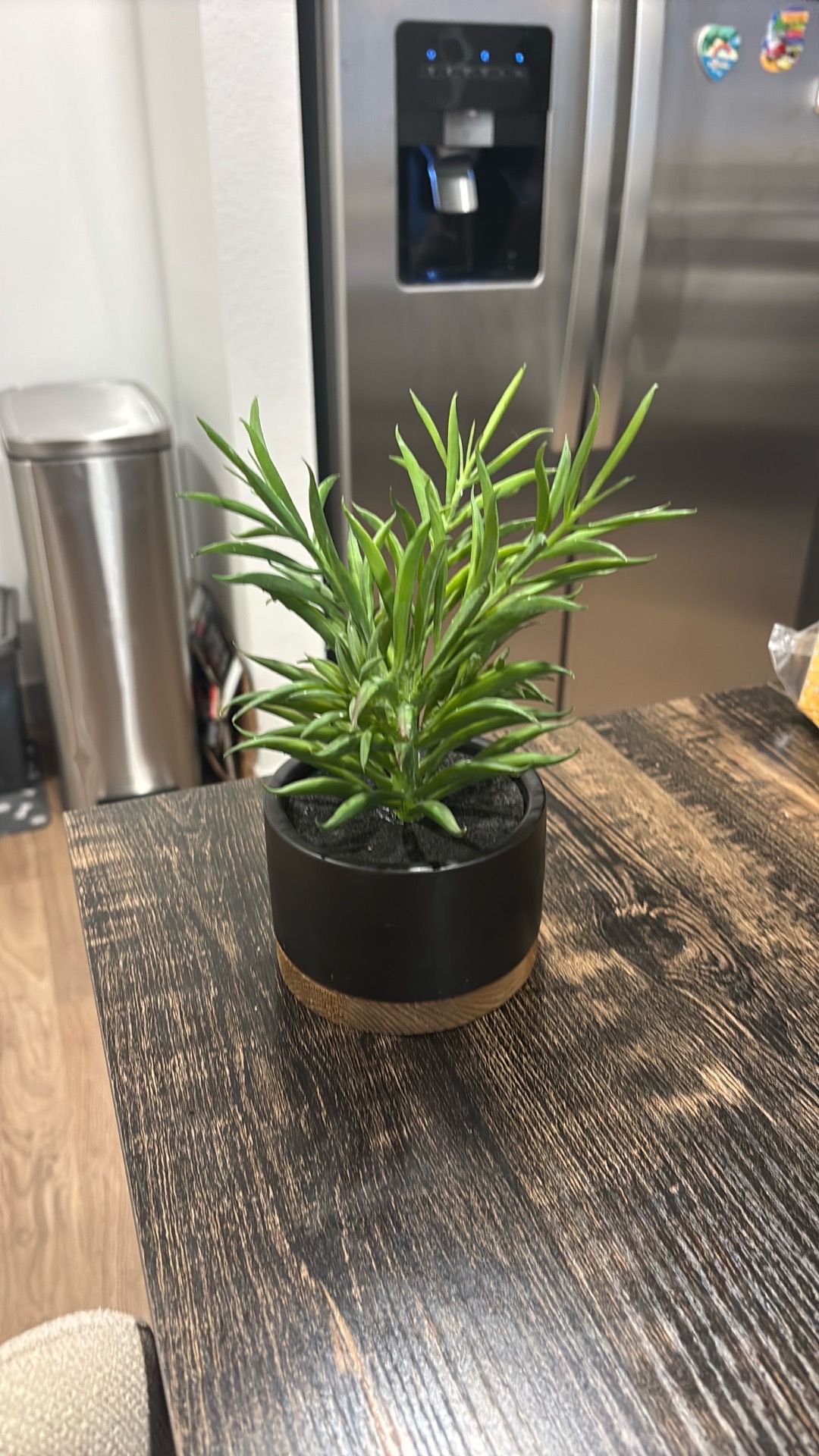 Artificial Plant
