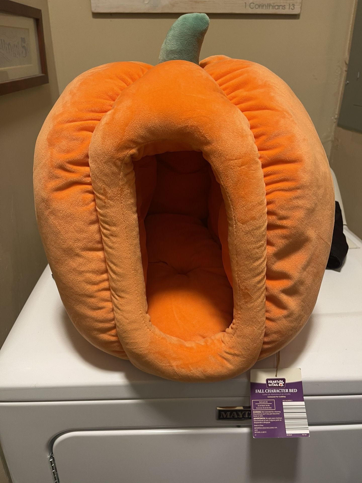 Fall character, pet bed