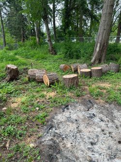 Fire wood