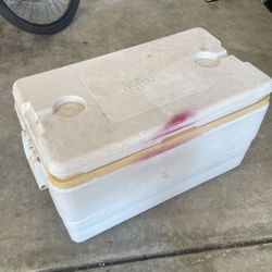 Igloo Cooler