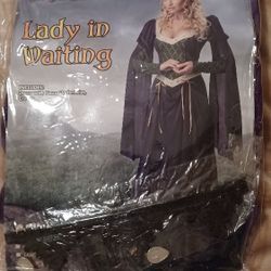 Lady In Waiting Costume 