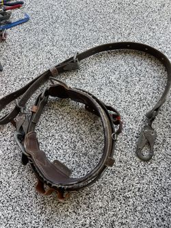 Buckingham Back/climbing Belt