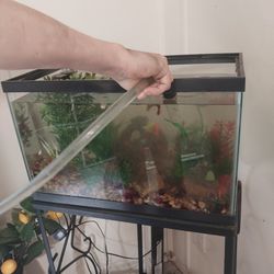 10 Gallon Aquarium, Lid, And Stand
