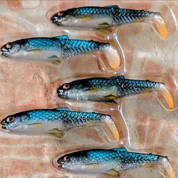 Savage gear craft cannibal shad