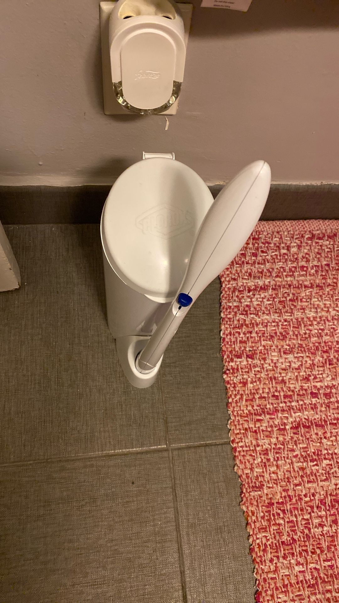 Clorox Bowl Cleaner