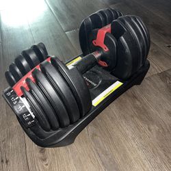 Bowflex SelectTech 552 Adjustable Dumbbell set