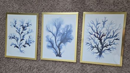3 Pictures, Blue And White, Gold Frame, Size: 13x17