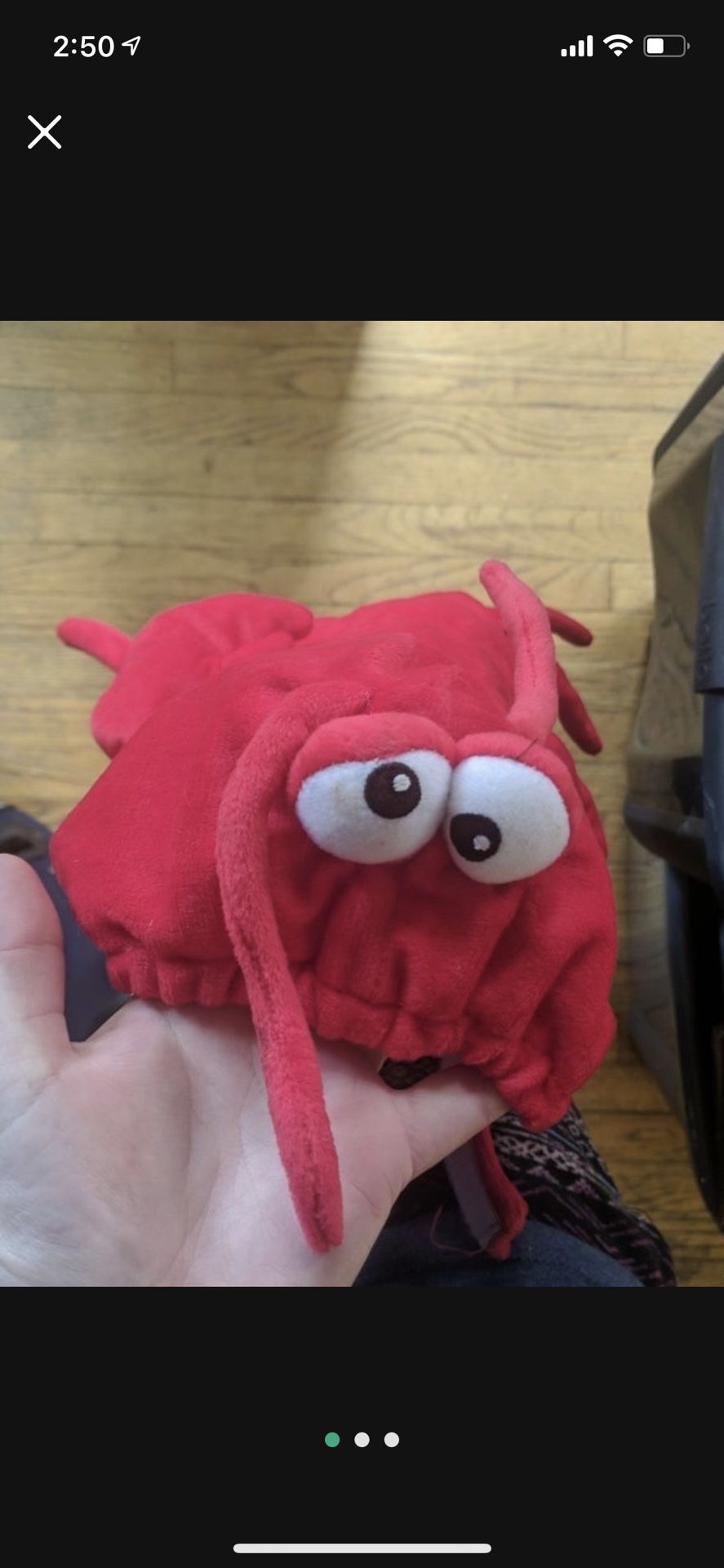 Medium Dog Lobster Costume 