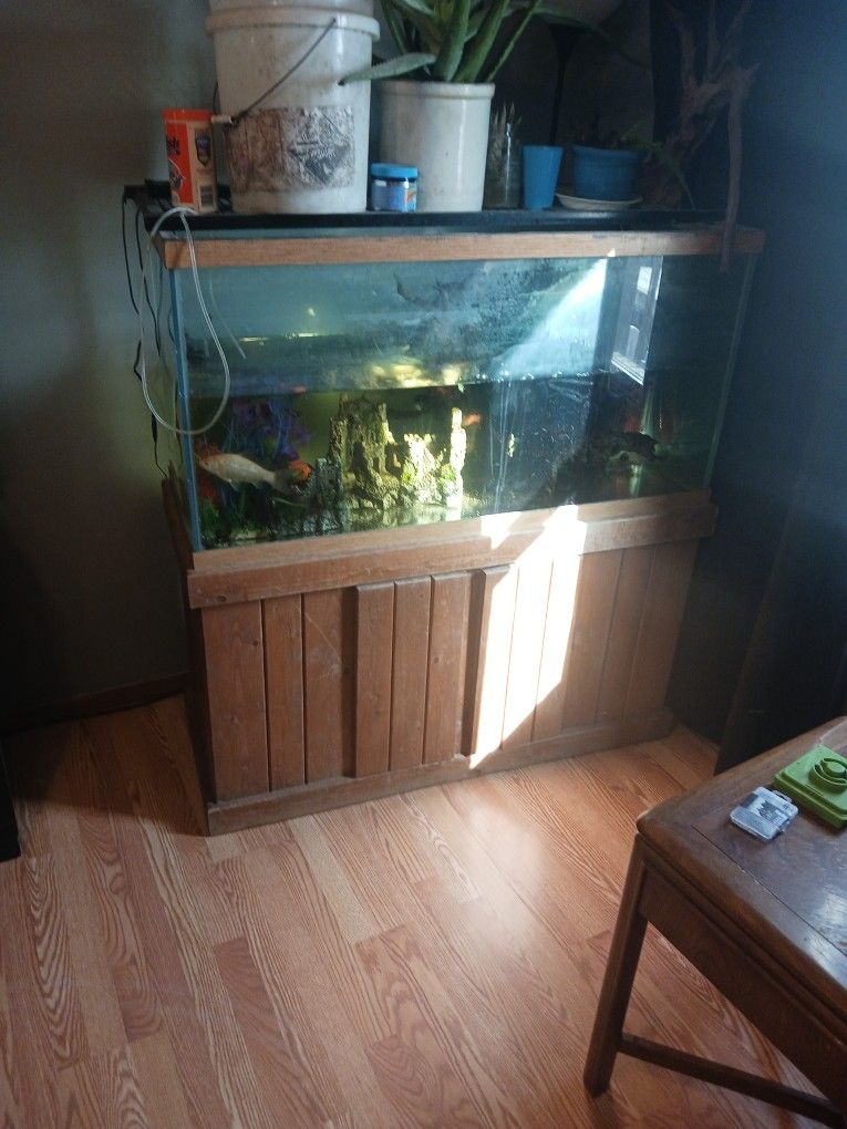 90 Gallon Tank