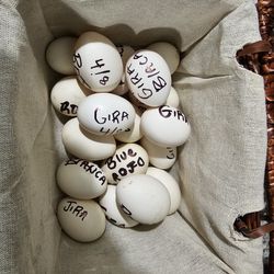 Fresh Fertile Gamefowl Hatching Eggs