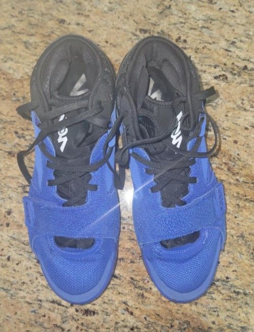 Air Jordan Zion 2 Basketball sneakers (13)