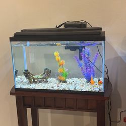 Tank of fishes whit whole Supplyes