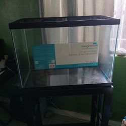 20 Gallon Tank And Stand 