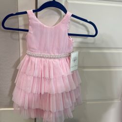 Girl brand new 3T Pink dress