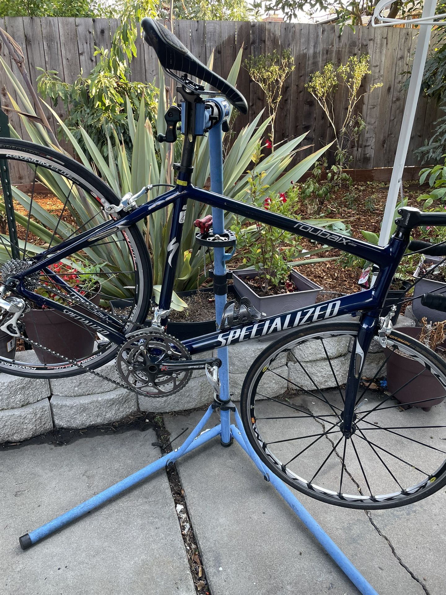 specialized
