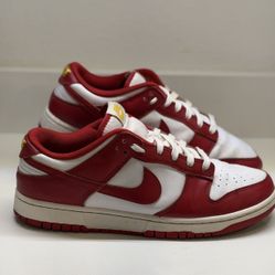 Men’s Nike Shoes Size 10