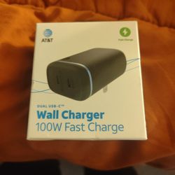 Wall Charger 100 Watt Fast Charge