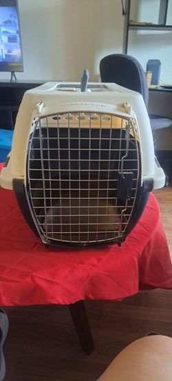 Pet Cab