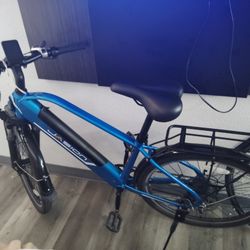 Jasion E-bike 