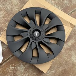 Model 3 Performance Hub Caps