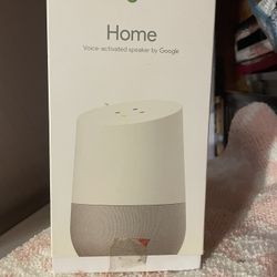Google Home Voice