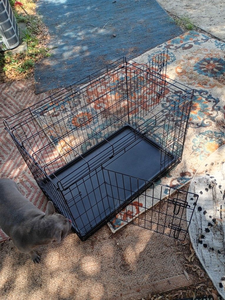 Metal Dog Cage