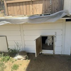 House  For Dogs 