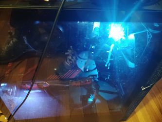 Ryzen 5 3600, 16GB ram, RX 580 GPU, B550 motherboard,Windows 11 .gaming computer