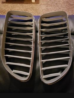 BMW Kidney Grille Pair Silver