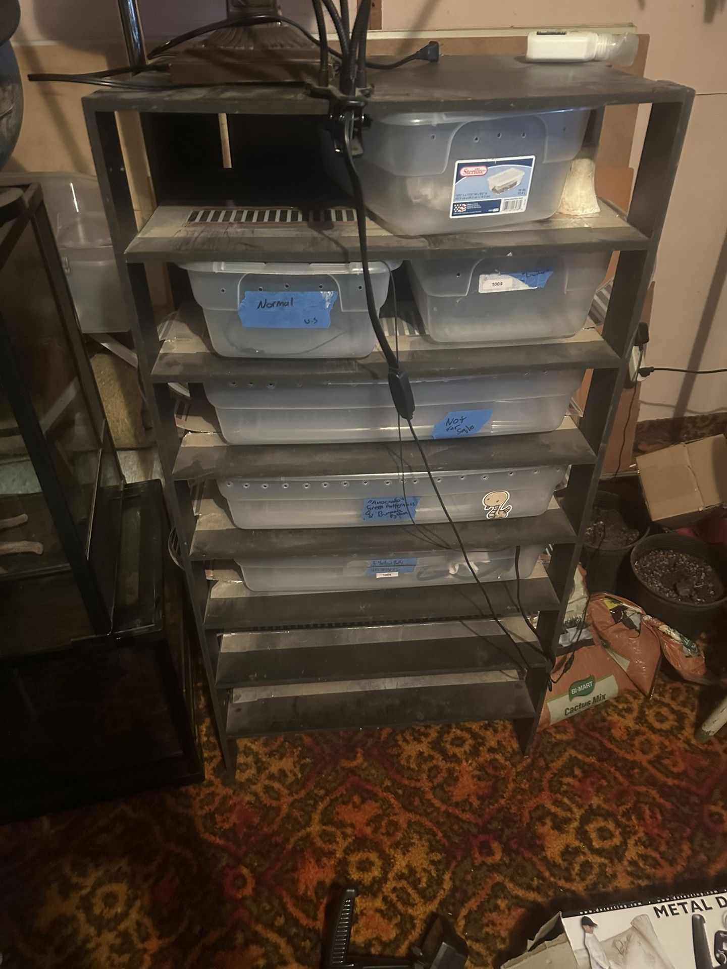 Snake Rack