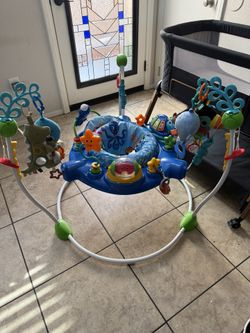 Baby Einstein Bouncer