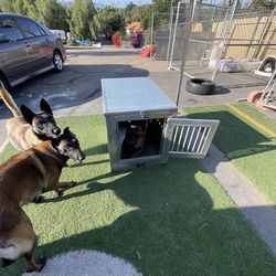 Aluminum dog crate