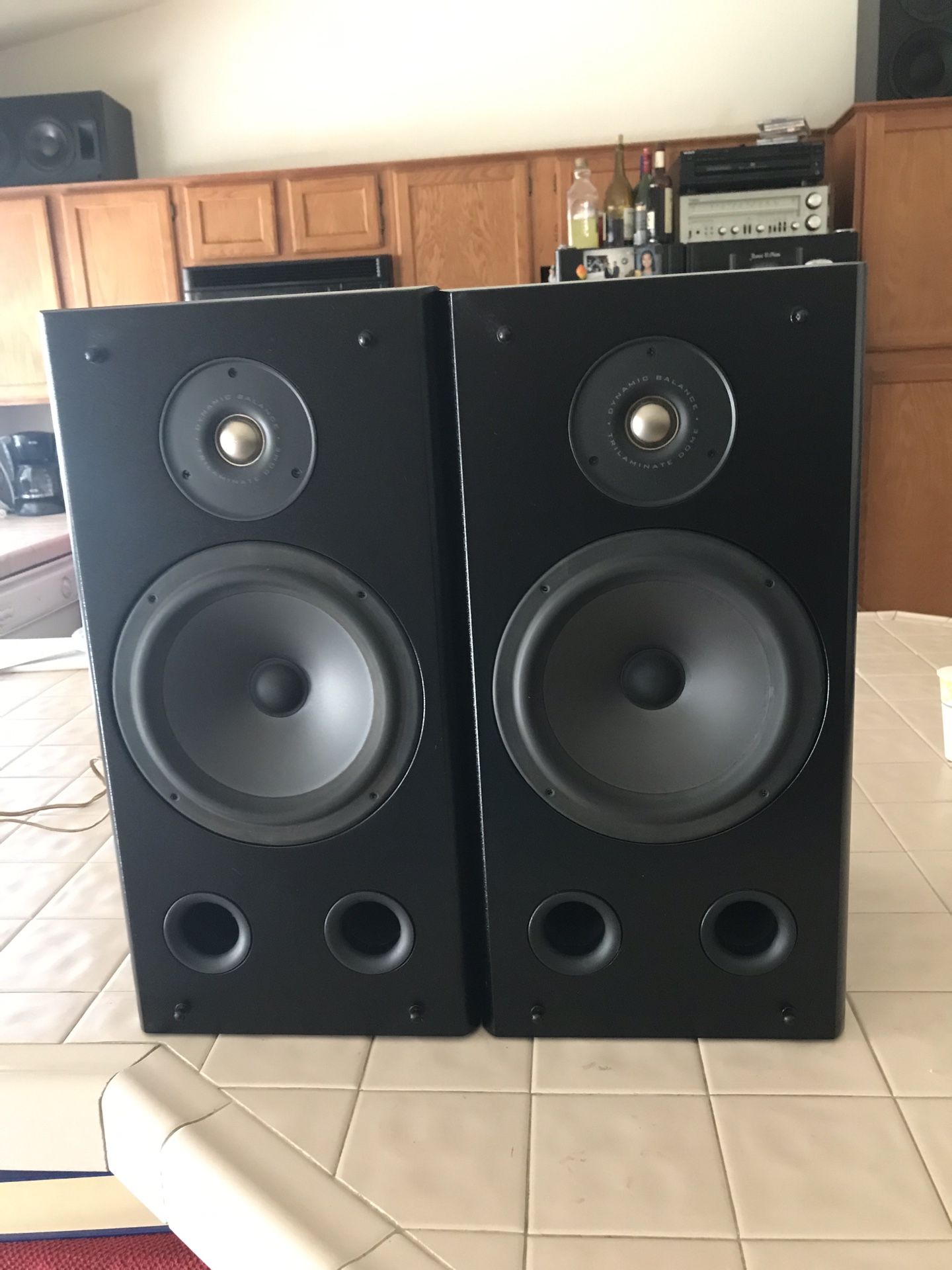 Polk Audio Loud Bookshelf Speakers