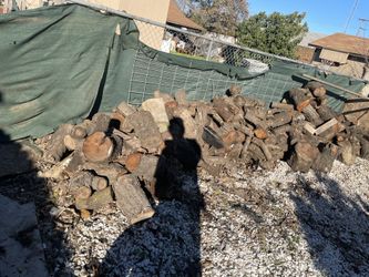 Dry Almond Wood