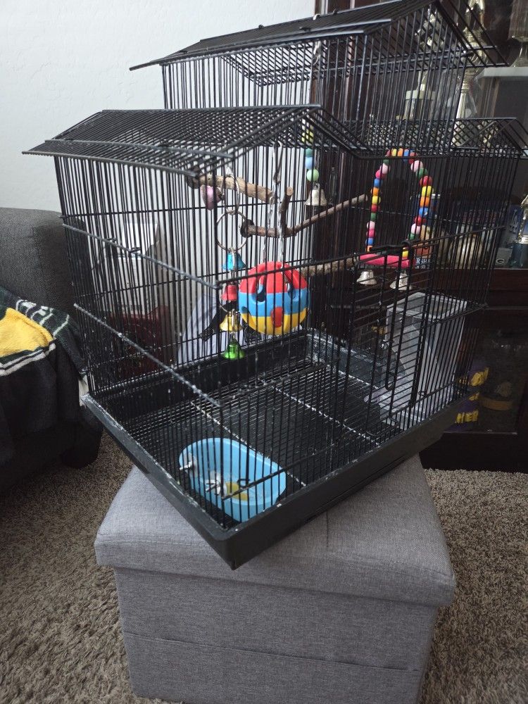Canary Bird Cage