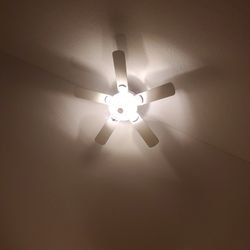 Ceiling Fan & Light