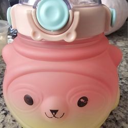 New water Bottle for girls 