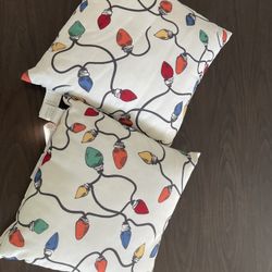 Pottery Barn Holiday Throw Pillows (2)