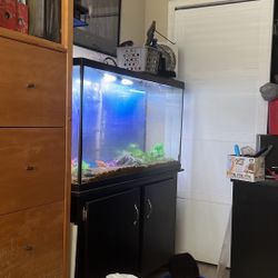 60Gallon Tank&Cabinet