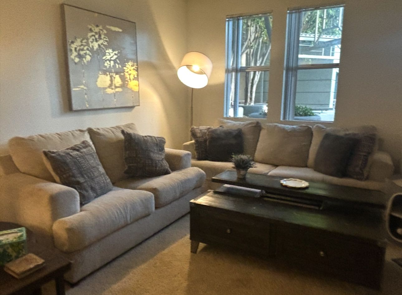 Sofa Bed And Love Seat From Ashley Store