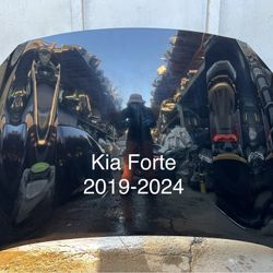 2019-2024 Kia Forte Hood OEM 
