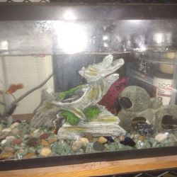 10 Gallon Fish Tank